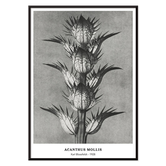 , with black aluminium frame on white background