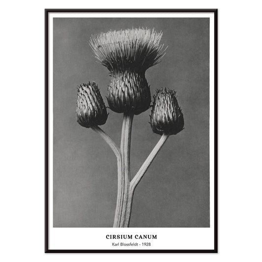 , with black aluminium frame on white background