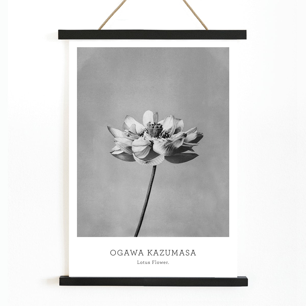 Monochrome lotus flower photography artwork by Ogawa Kazumasa minimal botanical wall art poster, with wooden magnetic frame on white background