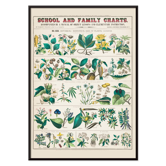 , with black aluminium frame on white background