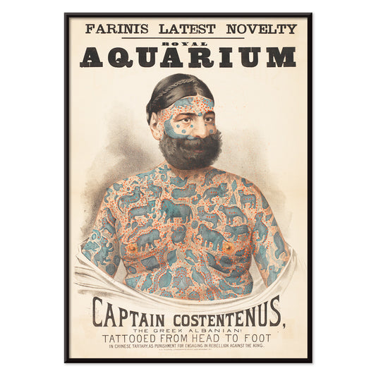 Tattooed man Captain Costentenus the Greek Albanian at The Royal Aquarium vintage poster artwork, with black aluminium frame on white background