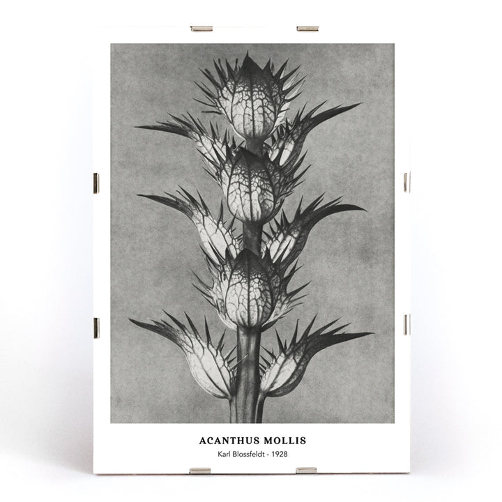 , framed and displayed in modern living room decor