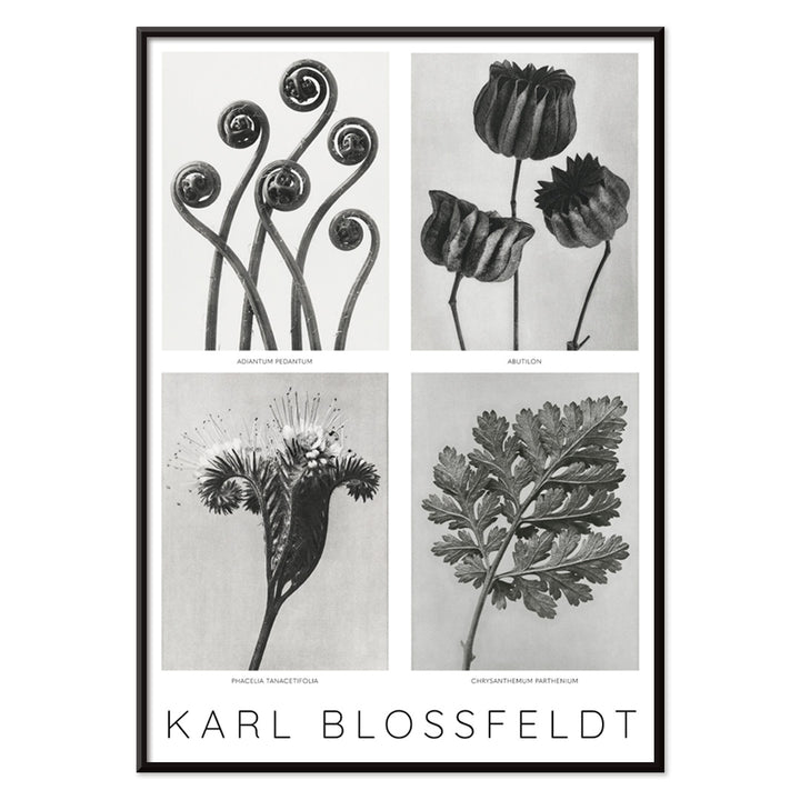 , with black aluminium frame on white background