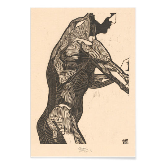 Anatomical poster of mans side and arm showing detailed muscle structure artwork by Reijer Stolk, with black aluminium frame on white background