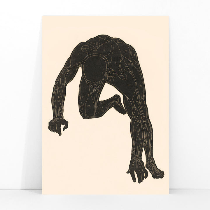 Anatomical illustration of human muscular anatomy and crouching figure from Neck Muscles by Reijer Stolk, framed and displayed in modern living room decor