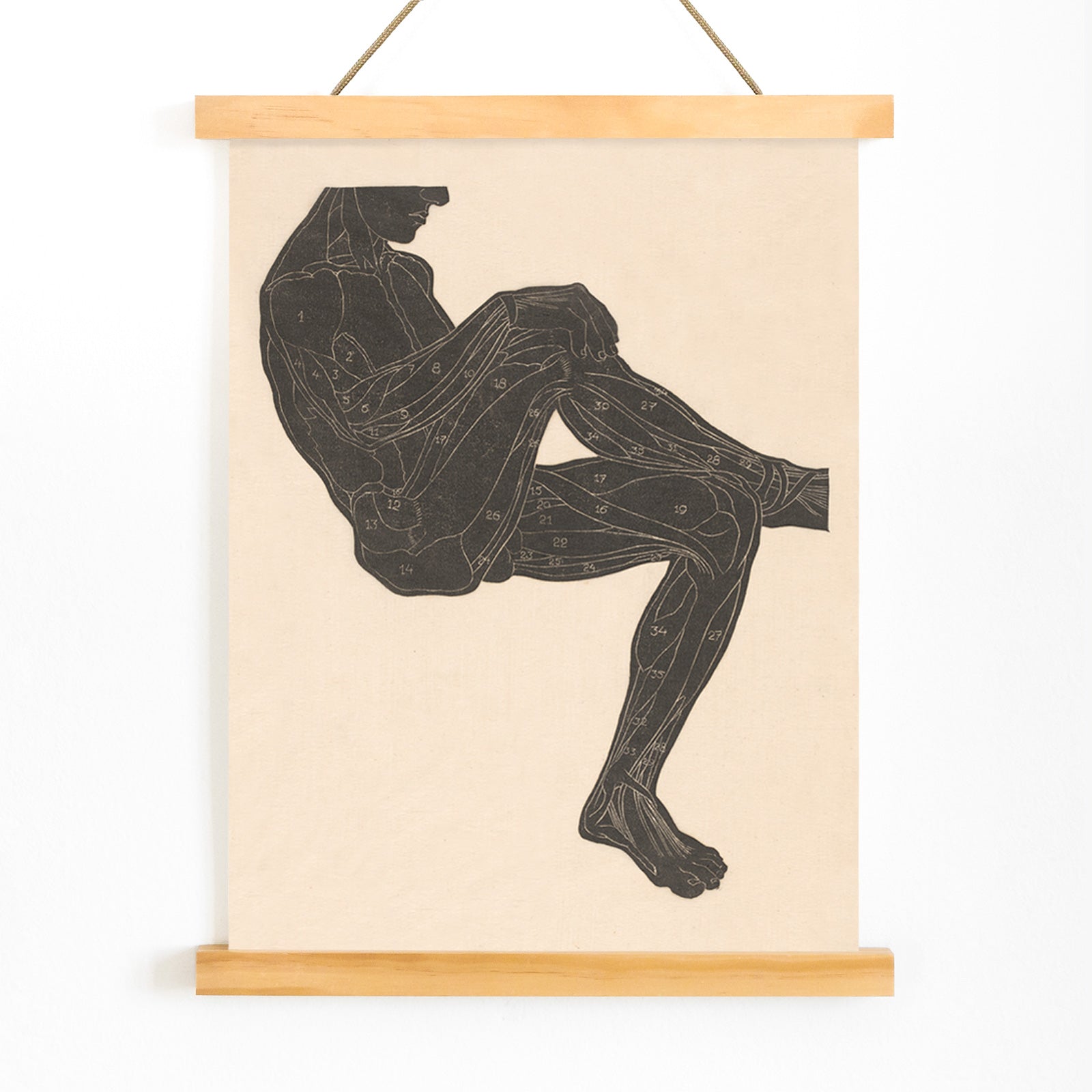 Anatomical illustration of human leg muscles in a seated figure poster by Reijer Stolk, with wooden magnetic frame on white background