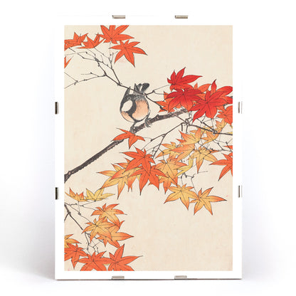 Bird on tree branch with autumn red and orange leaves Keinen kacho gafu by Imao Keinen Japanese art print, framed and displayed in modern living room decor