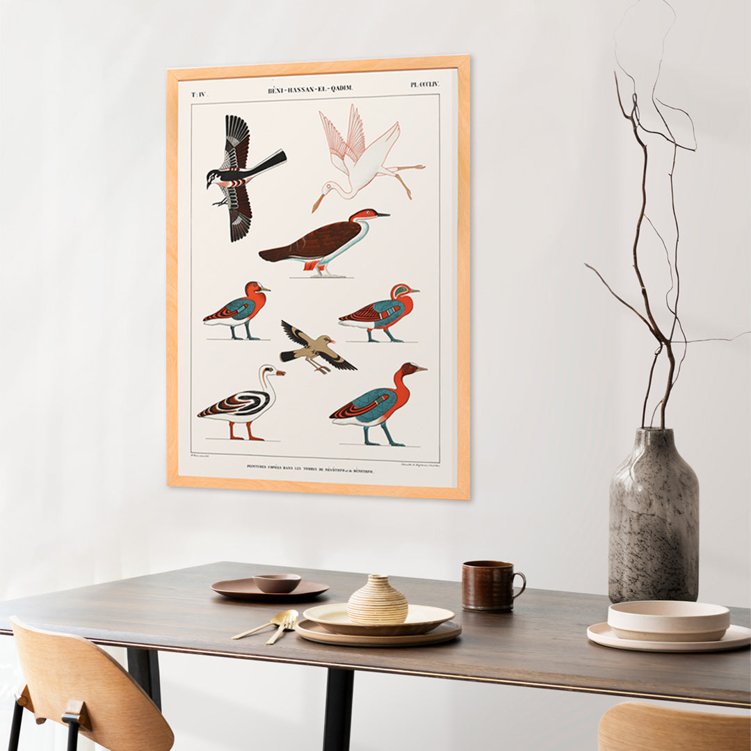 Colorful ancient Egyptian bird illustrations by Jean Francois Champollion from tomb paintings of Nevoethph and Menothph poster, framed and displayed in home decor