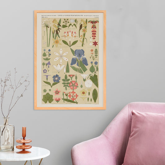 Botanical illustration poster of colorful leaves and flowers by Owen Jones from Grammar of Ornament, framed and displayed in home decor