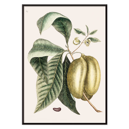 , with black aluminium frame on white background