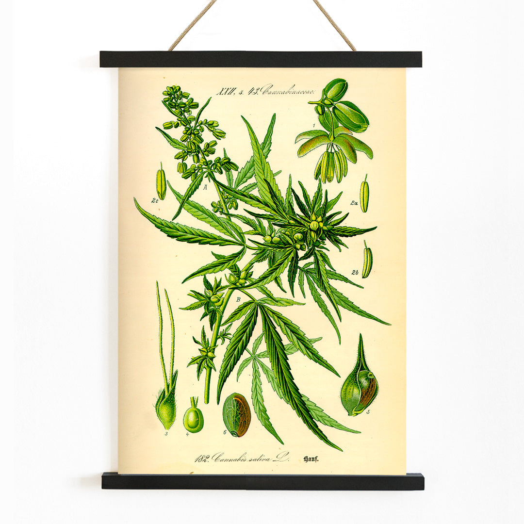 , with wooden magnetic frame on white background