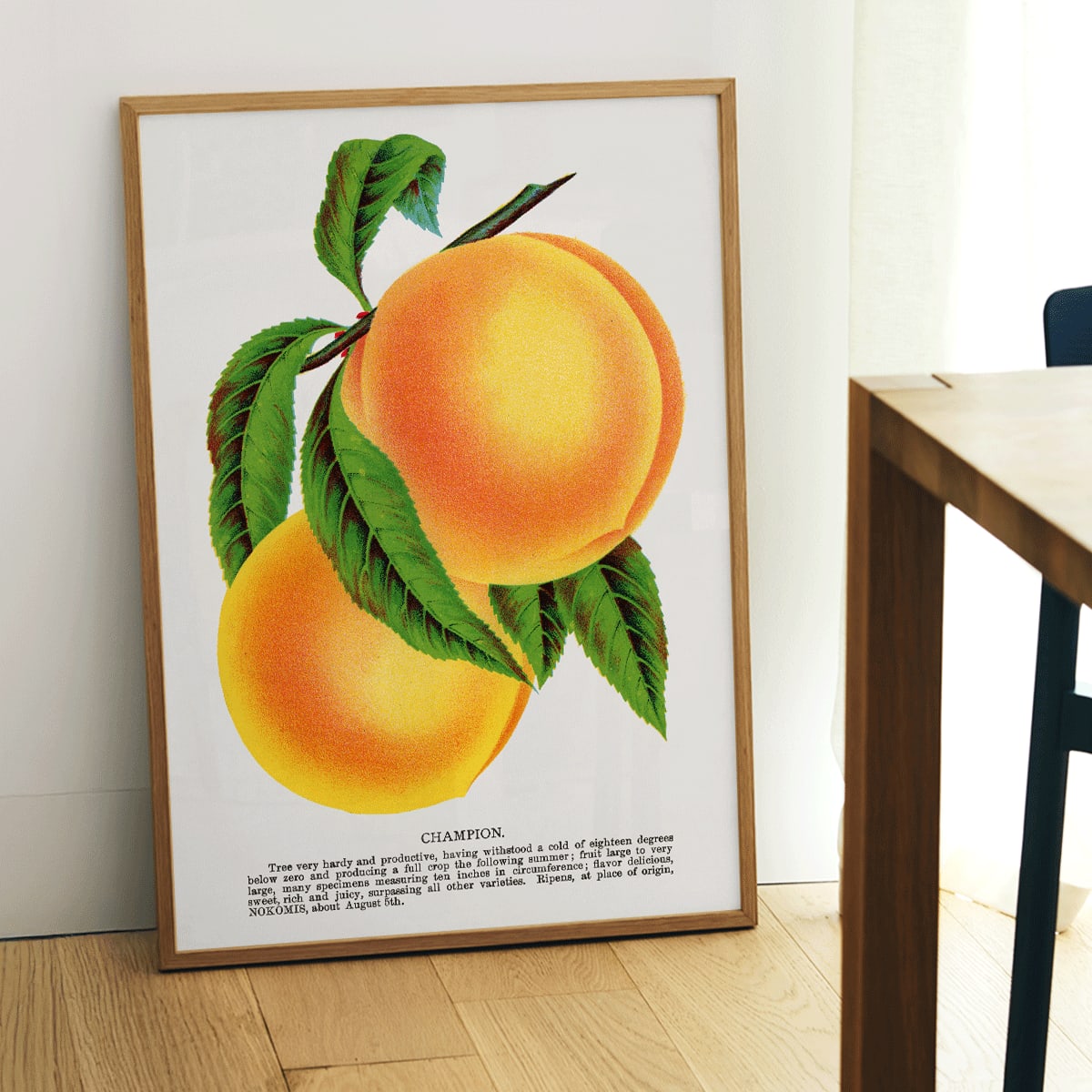 Champion plum and peach lithograph by Owen Jones from Botanical Specimen showing ripe yellow plums and peaches with green leaves, framed and displayed in home decor