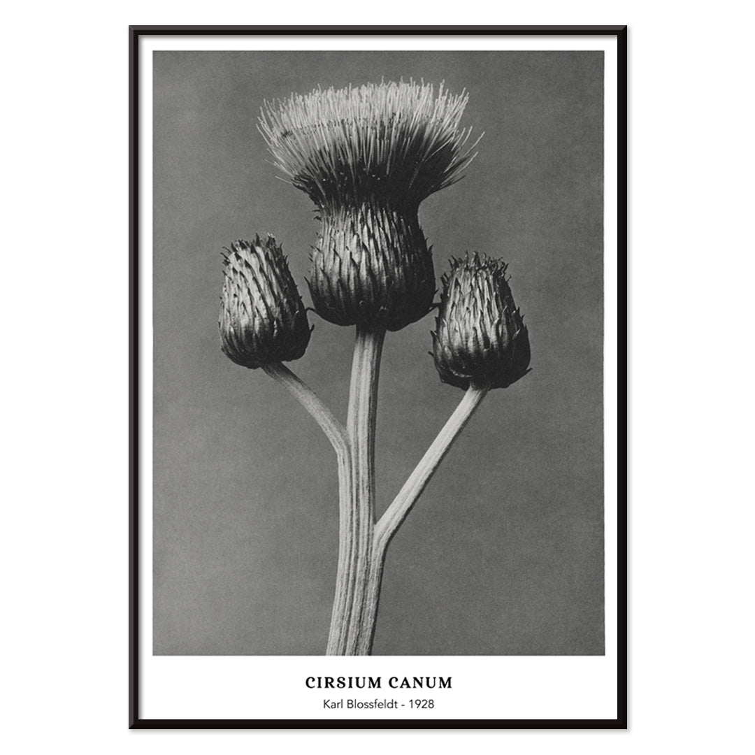 , with black aluminium frame on white background