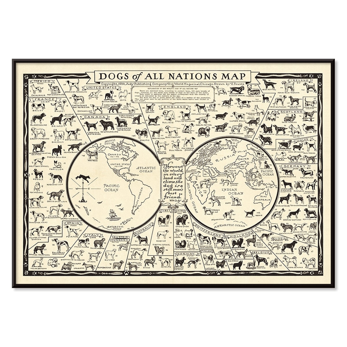 Dogs of All Nations Map by Frantz E illustrated poster featuring various dog breeds from around the world, with black aluminium frame on white background