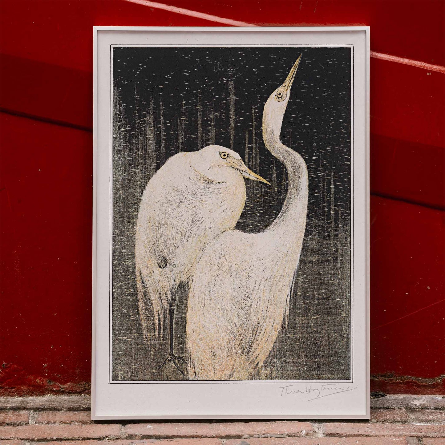 Two white herons depicted in artwork Twee zilverreigers by Theo van Hoytema poster suitable for wall decor against a dark background, framed and displayed in home decor