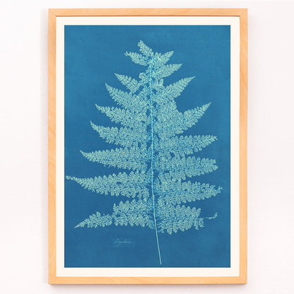 Fern Cianotipia botanical cyanotype artwork by Anna Atkins showing a detailed fern against a blue background poster, framed and displayed in modern living room decor