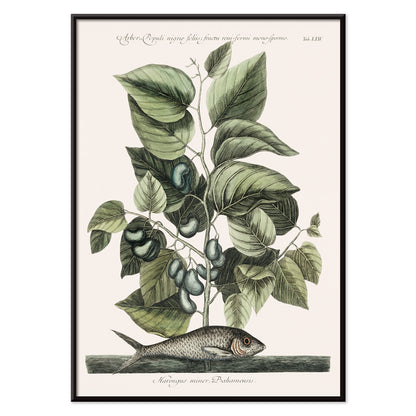 , with black aluminium frame on white background