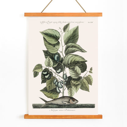 , with wooden magnetic frame on white background