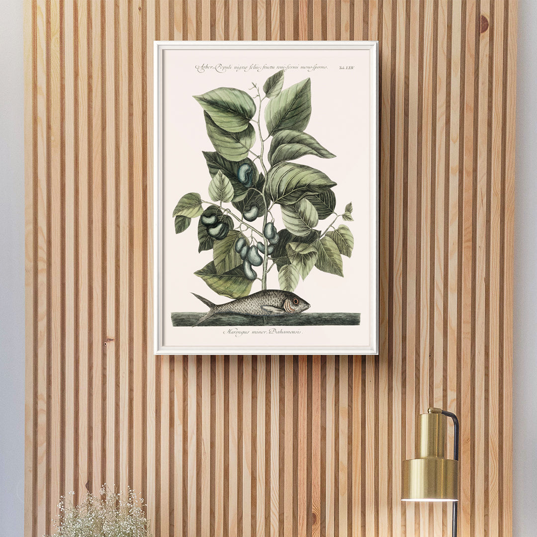 , framed and displayed in home decor