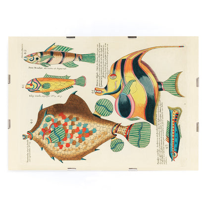 , framed and displayed in modern living room decor