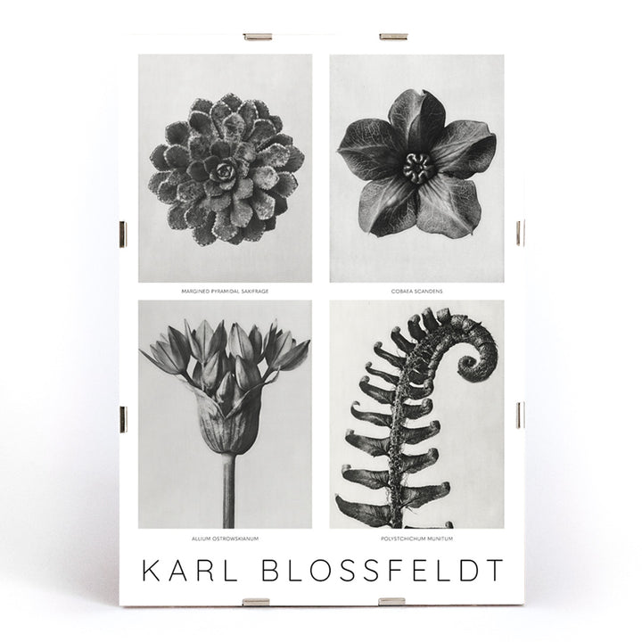 , framed and displayed in modern living room decor
