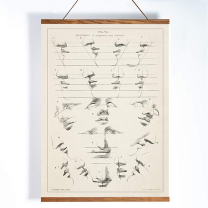 John Rubens Smith human figure drawing study poster with black and white facial feature sketches, with wooden magnetic frame on white background