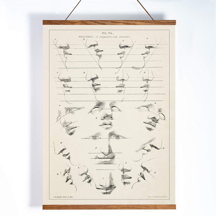 John Rubens Smith human figure drawing study poster with black and white facial feature sketches, with wooden magnetic frame on white background