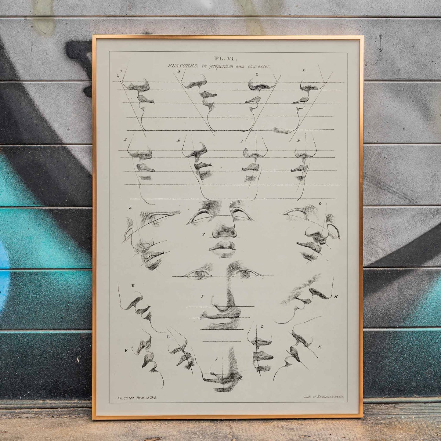 John Rubens Smith human figure drawing study poster with black and white facial feature sketches, framed and displayed in home decor