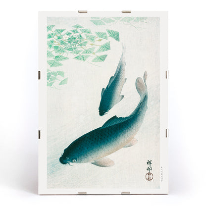 Two koi fish swimming under water plants and near green lily pads artwork by Ohara Koson serene Japanese style, framed and displayed in modern living room decor