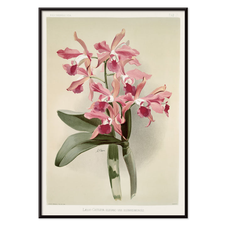 , with black aluminium frame on white background