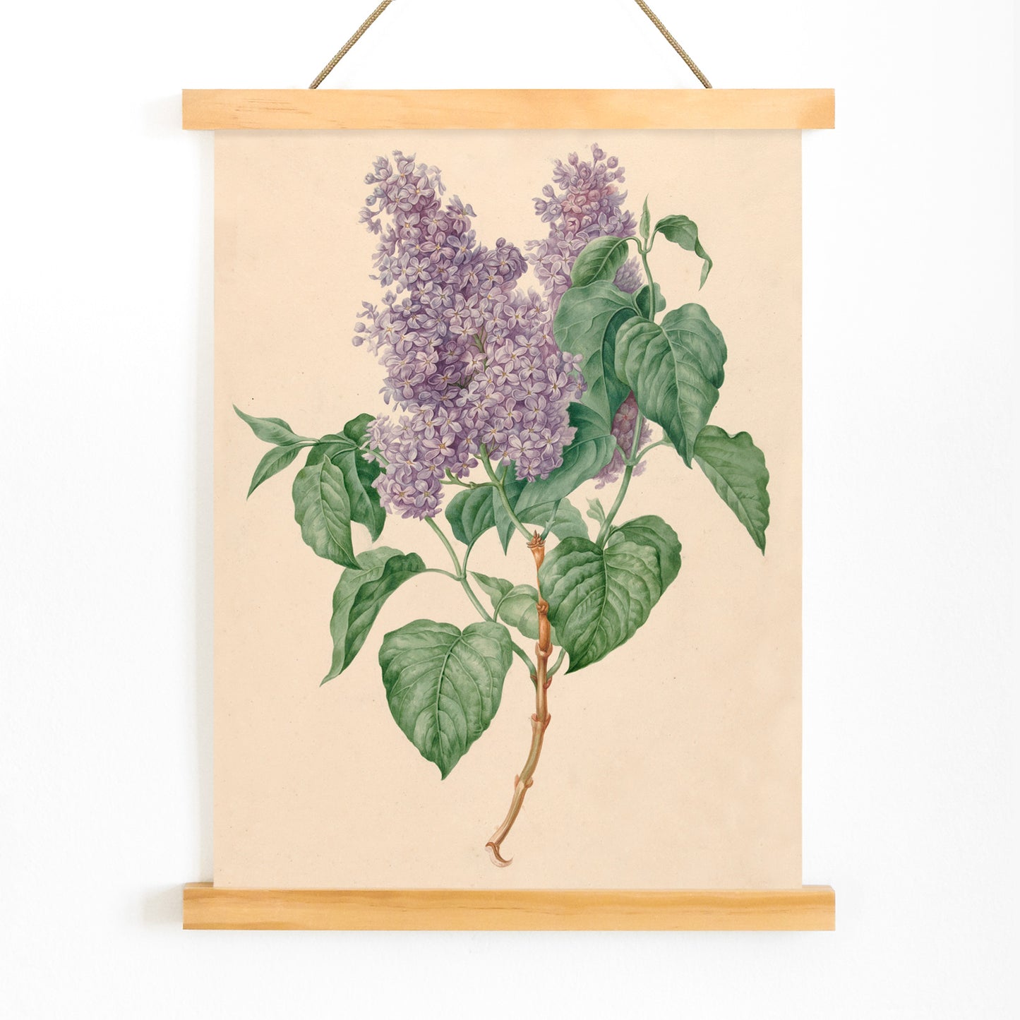 Botanical illustration poster of purple lilacs with green leaves titled Purple Lilacs by Maria Geertruida Barbiers-Snabilie, with wooden magnetic frame on white background