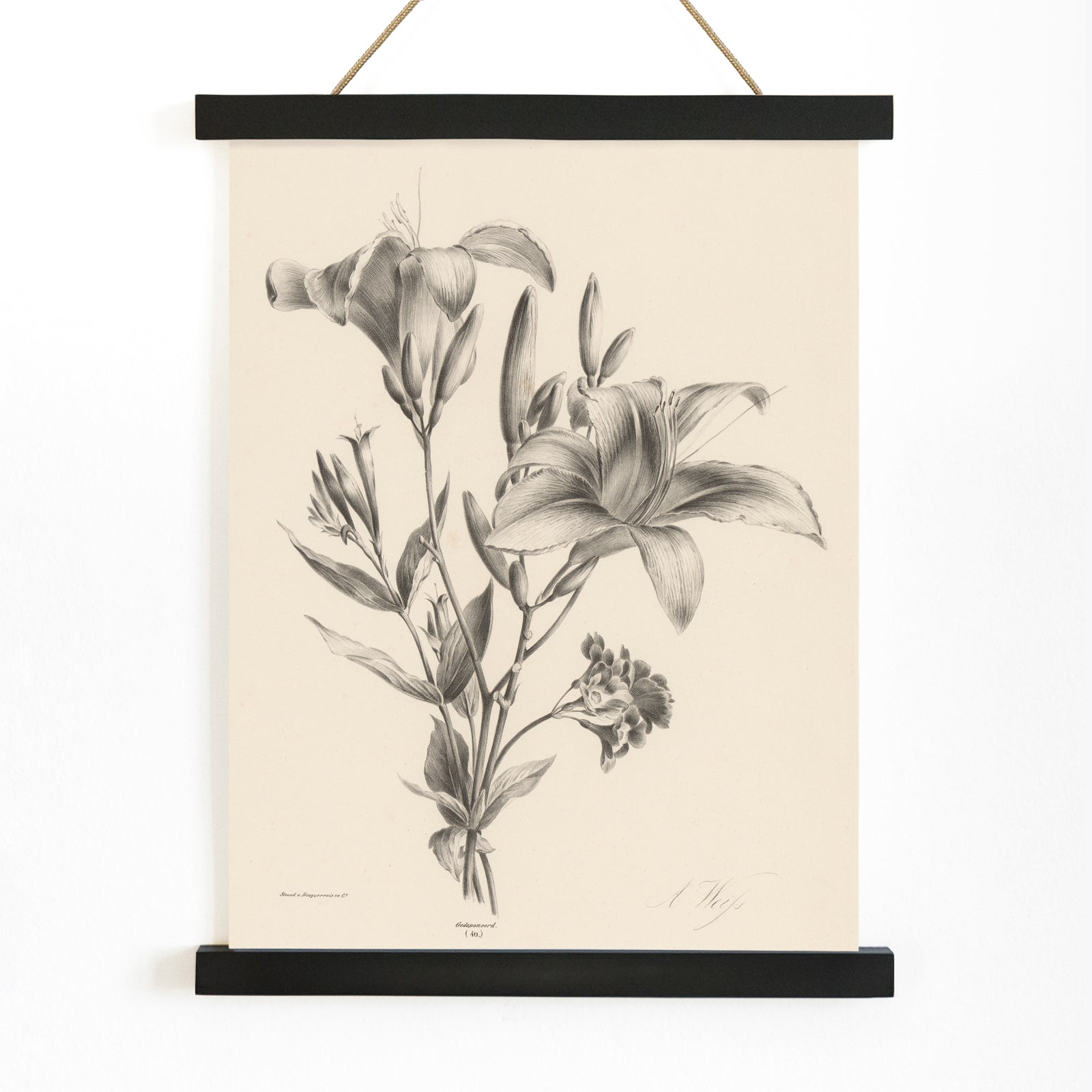 Detailed black and white botanical illustration of two lilies by Anton Weiss titled Two black and white lilies poster, with wooden magnetic frame on white background