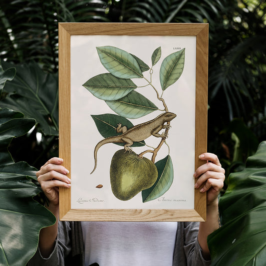 , framed and displayed in home decor