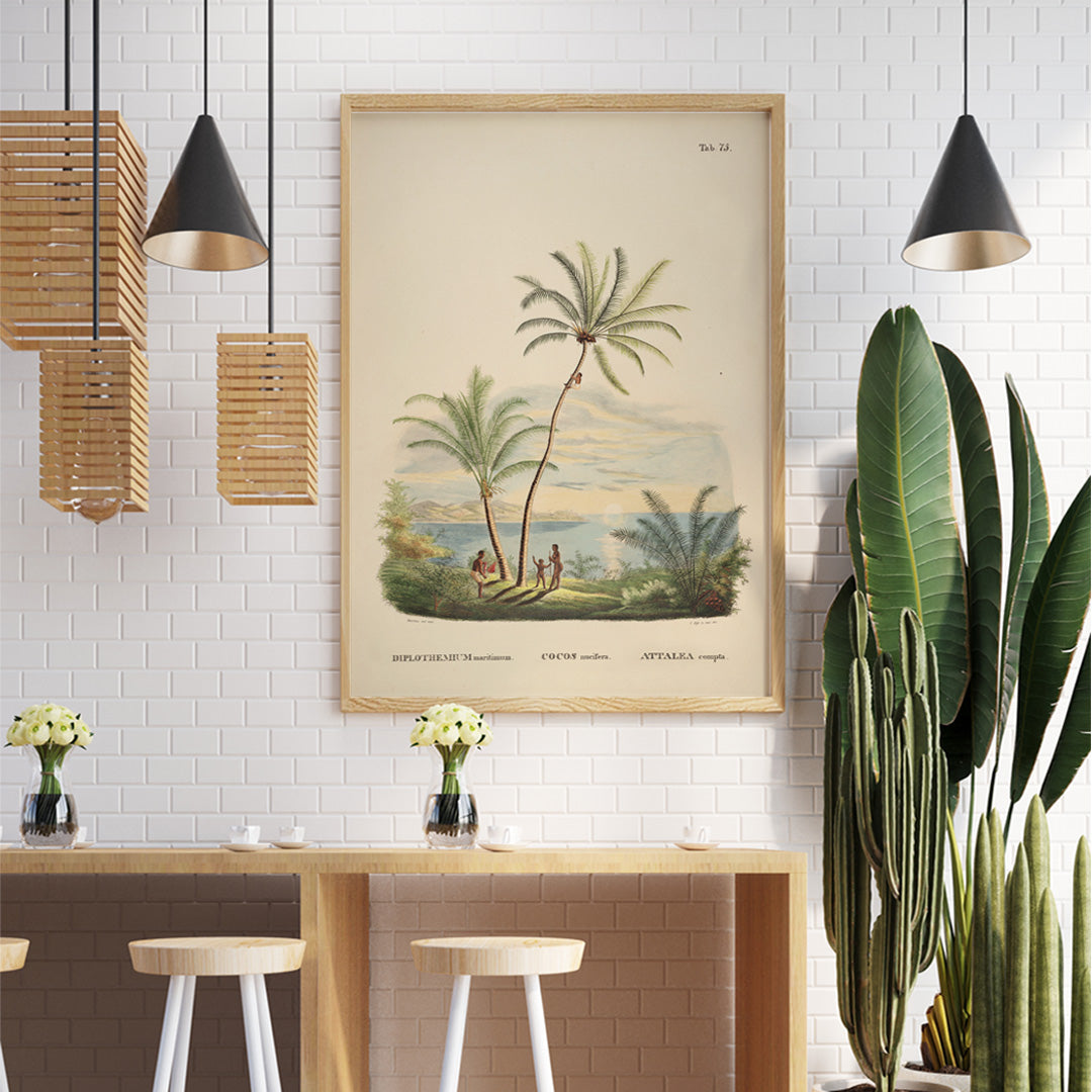 Attalea compta palm trees with people by Carl Friedrich Philipp von Martius tropical illustration and poster for wall decor, framed and displayed in home decor