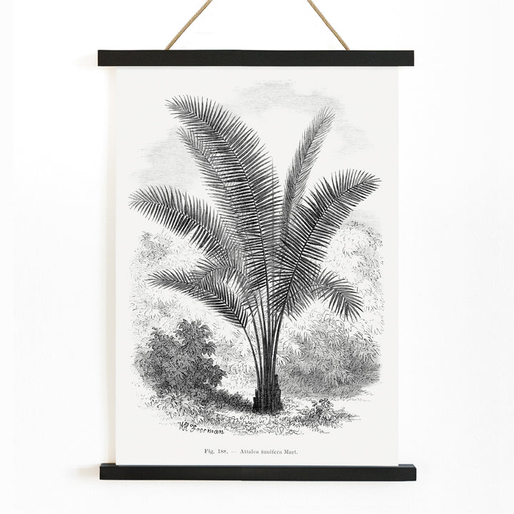 , with wooden magnetic frame on white background