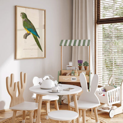 Colorful parrot illustration by Louis-Isidore Duperrey from Voyage autour du monde Pl141 bird poster, framed and displayed in home decor