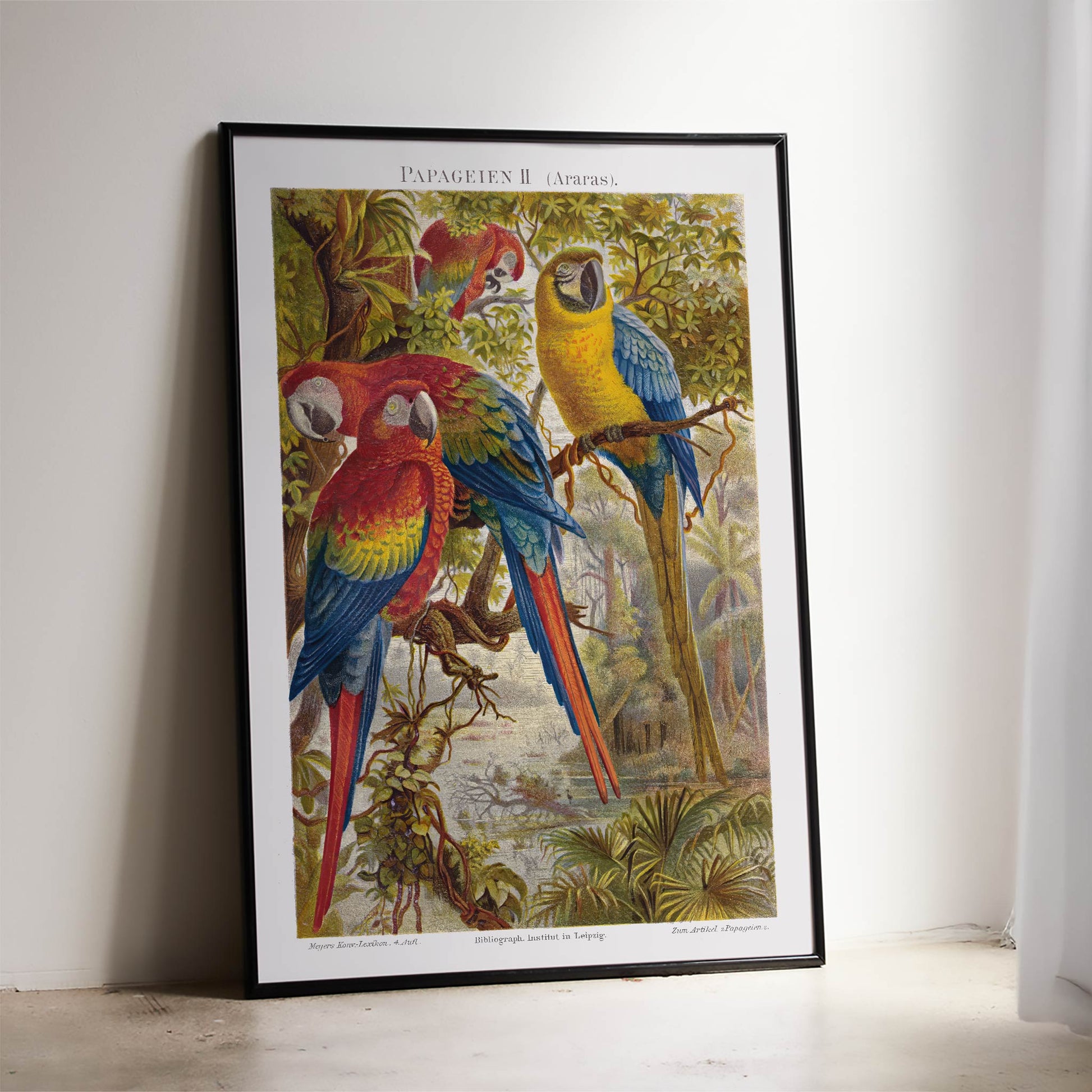 Colorful parrots in a lush jungle artwork Papageien II by Institut of Leipzig poster for wall decor, framed and displayed in home decor