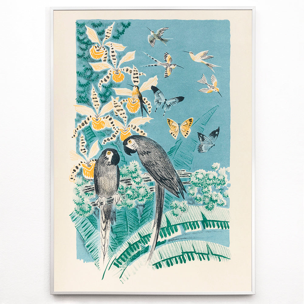 Closeup detail of Colorful parrots butterflies and birds in a lush tropical garden illustration from Douze contes de Paris et de Provence by Paul Arène