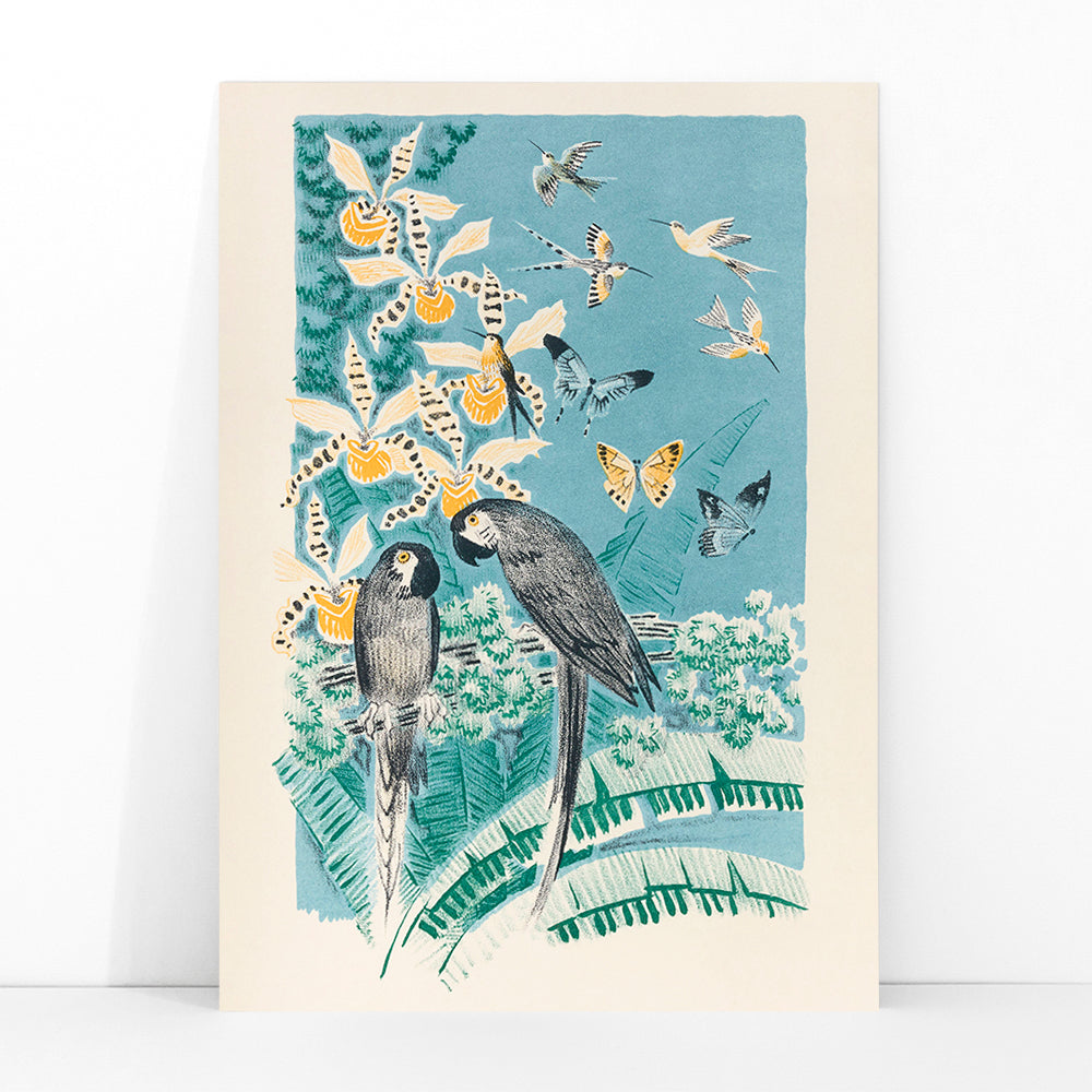 Colorful parrots butterflies and birds in a lush tropical garden illustration from Douze contes de Paris et de Provence by Paul Arène, framed and displayed in modern living room decor