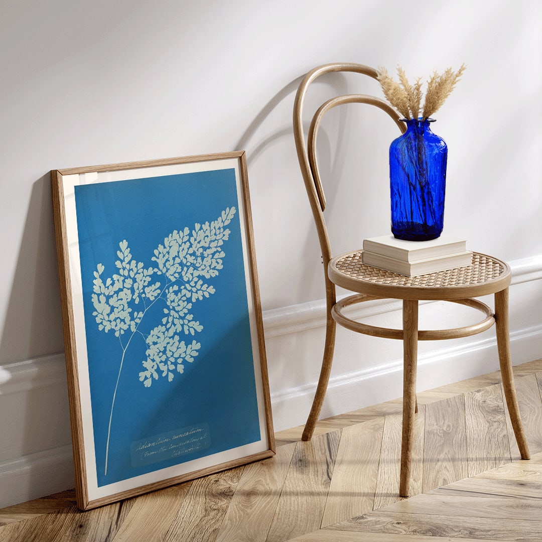 Anna Atkins cyanotype artwork of Adiantum cuneatum fern botanical blueprint poster on blue background, framed and displayed in home decor