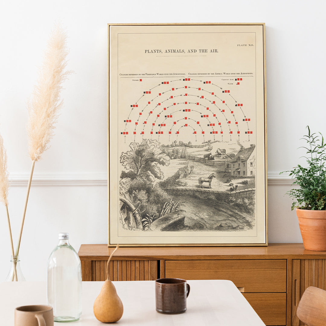 , framed and displayed in home decor