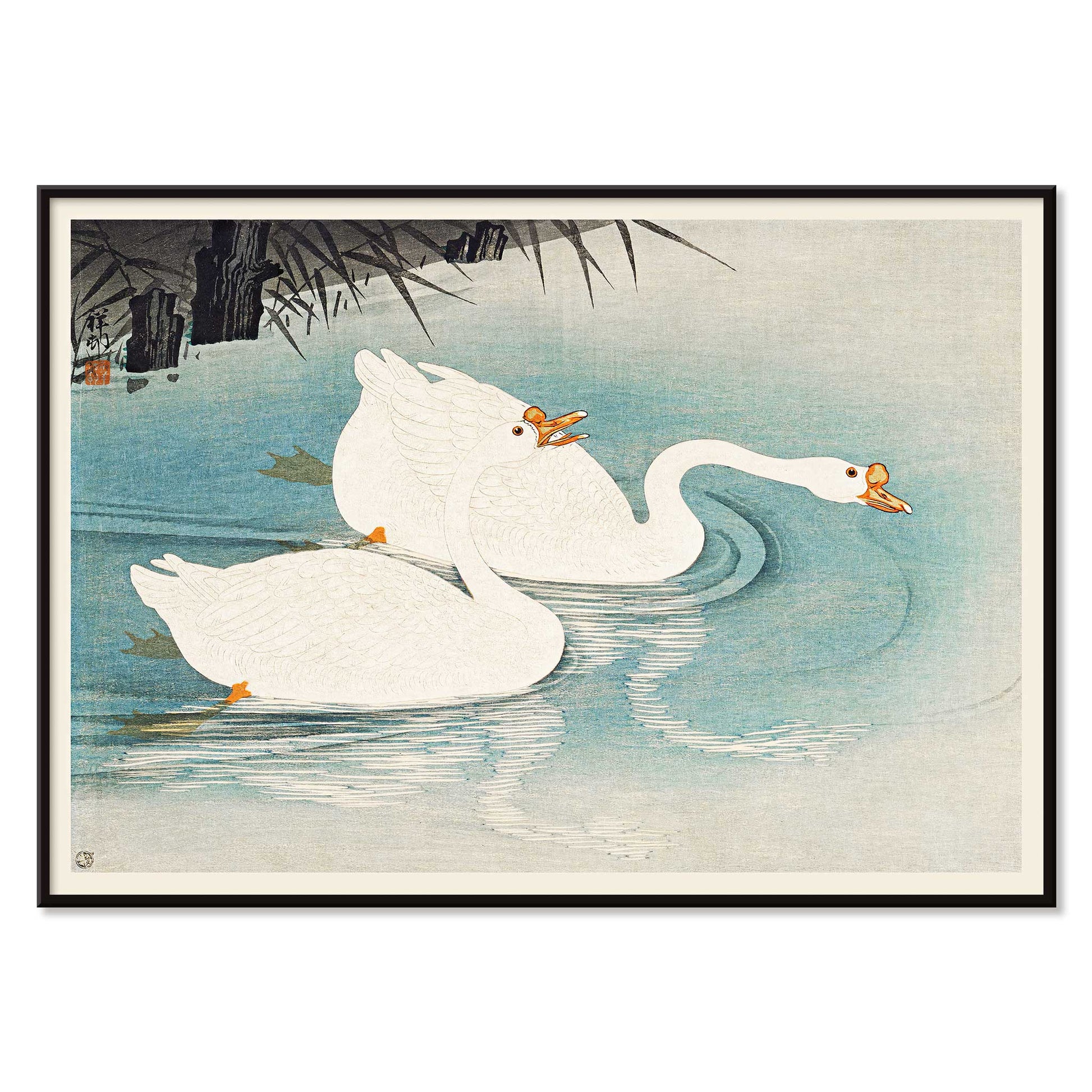 White geese swimming among blue water and reeds Geese amid Reeds by Ohara Koson poster, with black aluminium frame on white background