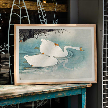 White geese swimming among blue water and reeds Geese amid Reeds by Ohara Koson poster, framed and displayed in home decor