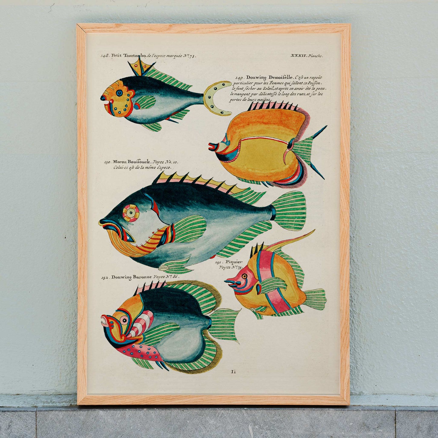 Colorful surreal fish illustrations from Histoire naturelle des plus rares curiositez by Louis Renard featuring exotic marine life of Moluccas and East Indies poster, framed and displayed in home decor