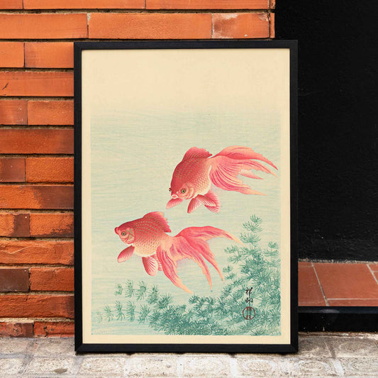 Two Goldfishes by Ohara Koson poster with two vibrant goldfish swimming among aquatic plants in blue water, framed and displayed in home decor