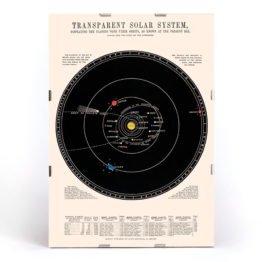 , framed and displayed in modern living room decor