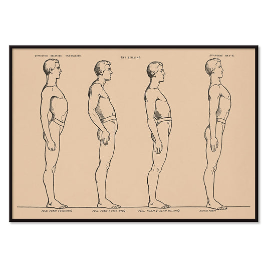 N.C. Roms Standing posture study poster with four side view figures in black line on beige background, with black aluminium frame on white background