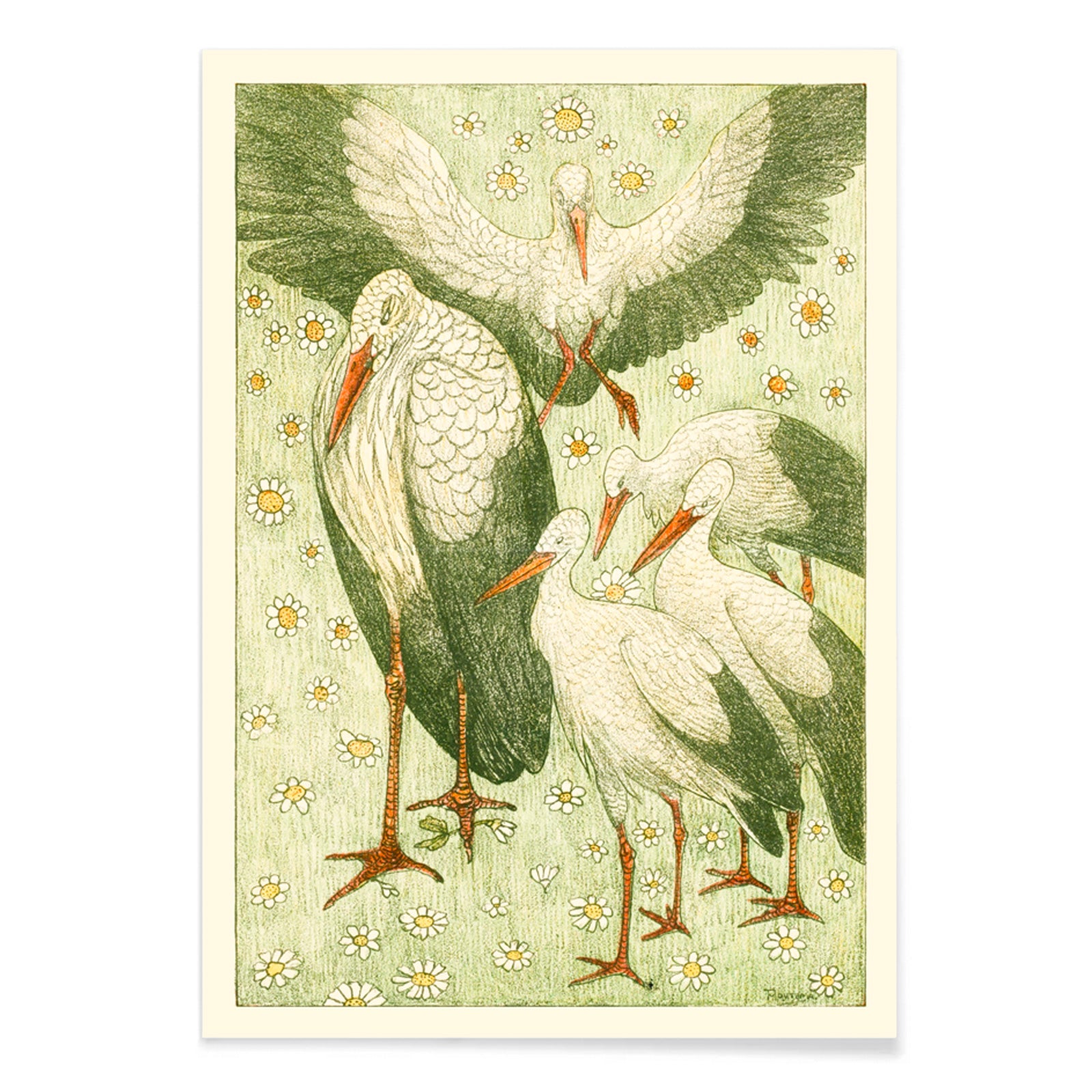 Five storks standing and flying among daisies and flowers in a meadow artwork by Theo van Hoytema poster, with black aluminium frame on white background