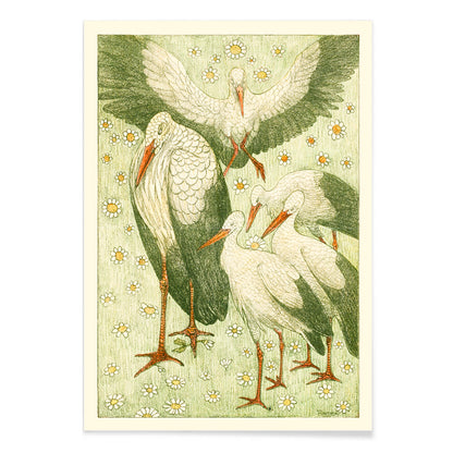 Five storks standing and flying among daisies and flowers in a meadow artwork by Theo van Hoytema poster, with black aluminium frame on white background