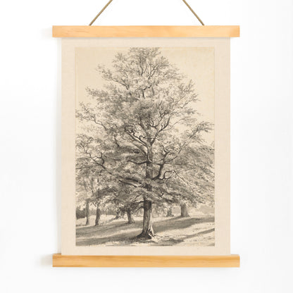 Detailed drawing of a large tree in a sunlit natural landscape titled Big Tree by Cornelis Steffelaar poster, with wooden magnetic frame on white background